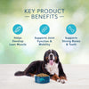 Blue Buffalo Freedom Large Breed Adult Lamb Recipe Dry Dog Food