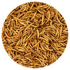 Exotic Nutrition Dried Mealworms