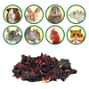 Exotic Nutrition Hibiscus Flower Treat