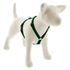 Lupine Pet Basic Solids Roman Dog Harness