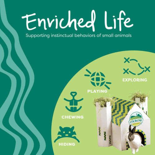 Oxbow Animal Health Enriched Life  Wood Brush & Comb