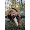 CADET Stuffed Shin Bones Beef Dog Treats