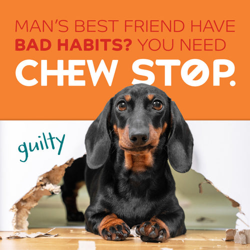 TropiClean Chew Stop Dog Behavior Aid Home Spray 4-In-1